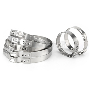 فولاذ مقاوم للصدأ مشبك خرطوم الأذن واحد