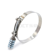 T-Bolt Spring محملة المشبك الثقيل مع تسطيب كبير